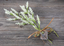 Load image into Gallery viewer, C'est si bon- ironstone basin filled with tart pans