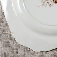 Load image into Gallery viewer, Fruit Sampler- stack of vintage display plates