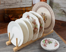 Load image into Gallery viewer, Fruit Sampler- stack of vintage display plates