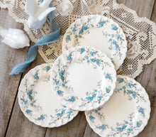 Load image into Gallery viewer, Woodland Blue- Forget Me Not Myott bread plates
