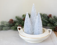 Load image into Gallery viewer, Winter Odyssey- Homer Laughlin vegetable dish