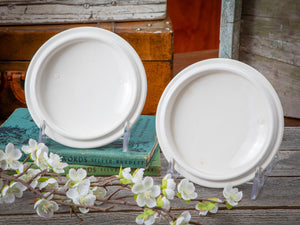 Gladding McBean- 2 covered swirl dishes