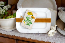 Load image into Gallery viewer, Mary’s Gold- ironstone platter w/botanical card
