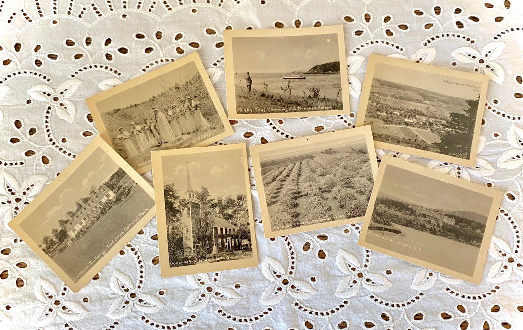 Vintage Photo Cards- Annapolis Valley