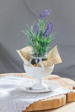 Load image into Gallery viewer, Huckleberry- Sherbet Cup with Plant and Saucer

