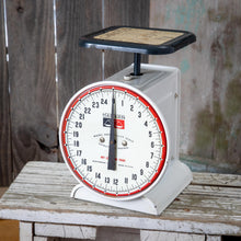 Load image into Gallery viewer, By The Pound- white Hanson kitchen scale
