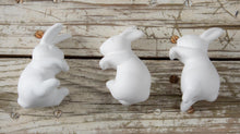 Load image into Gallery viewer, The Bunny Hop
