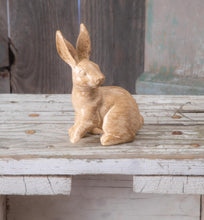 Load image into Gallery viewer, Velveteen Rabbit
