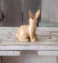 Load image into Gallery viewer, Velveteen Rabbit

